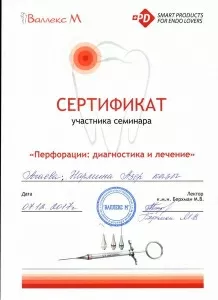 Агаева Нармина Азеровна