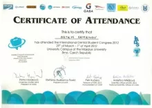 Семёнов Артём Андреевич