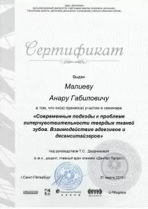 Малиев Анар Габилович