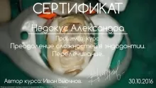 Недокус Александра Николаевна