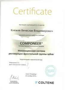 Княжев Вячеслав Владимирович