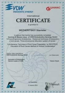 Межерицкий Станислав Борисович