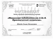 Штейн Эльма Феликсовна