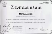 Нагель Акоп Ральфович