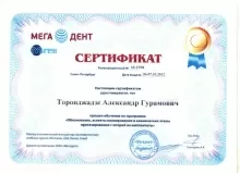 Торонджадзе Александр Гурамович