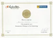 Бабинцев Владислав Вячеславович