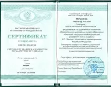 Мельников Александр Юрьевич