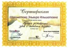 Шаяхметова Эльвира Ильшатовна