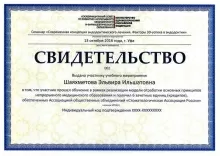 Шаяхметова Эльвира Ильшатовна