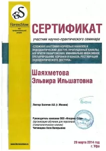 Шаяхметова Эльвира Ильшатовна