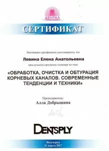 Левина Елена Анатольевна