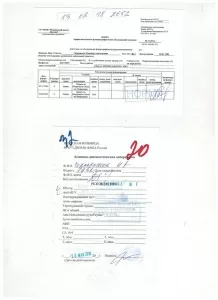 Чертовских Надежда Анатольевна