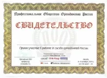 Халиулина Елена Евгеньевна