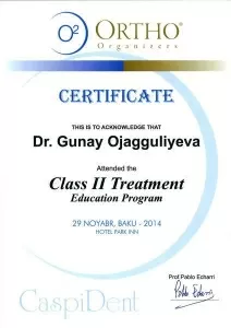 Оджаггулиева Гюнай Эльхан Кызы