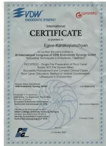 Каракуюмчян Егинэ Грачьевна