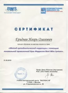 Гриднев Игорь Олегович