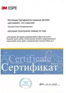 Орлова Елена Владимировна