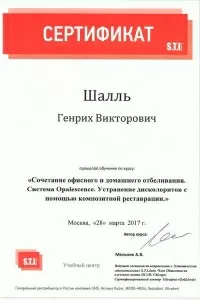 Шалль Генрих Викторович