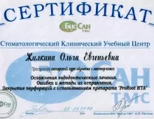 Жилкина Ольга Евгеньевна