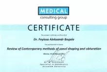 Фейисса Александр Богале