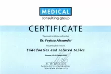 Фейисса Александр Богале