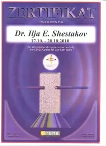 Шестаков Илья Евгеньевич