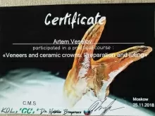 Веселов Артем Александрович