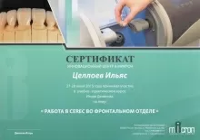 Целлоев Ильяс Эйсаевич