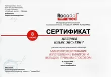 Целлоев Ильяс Эйсаевич