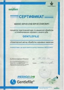 Минко Вячеслав Вячеславович