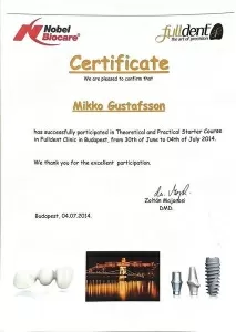 Густафссон Микко Йони