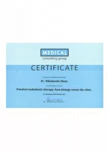 Николаенко Елена Витальевна