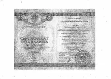 Сидоренко Екатерина Сергеевна