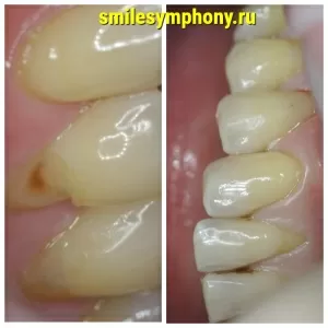 Виниченко Анастасия Евгеньевна