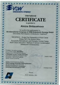 Шибзухова Альмира Тимуровна