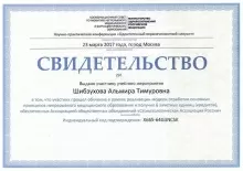 Шибзухова Альмира Тимуровна