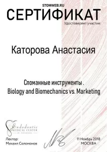 Каторова Анастасия Валериевна