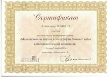 Земцов Александр Сергеевич