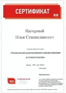 Нагорный Илья Станиславович