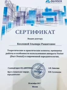 Козлова Эльмира Рашитовна