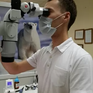 Кузнецов Денис Максимович