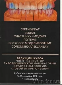 Соломин Александр Вячеславович