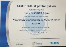 Петрова Анна Викторовна