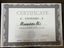 Али Алаа Эддин