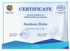 Снеткова Эльвира Зинфаровна