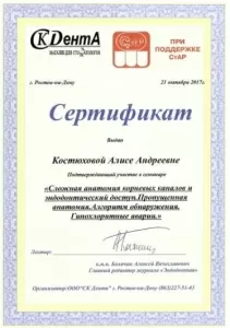 Костюхова Алиса Андреевна