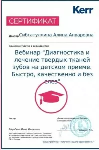 Сибгатуллина Алина Анваровна