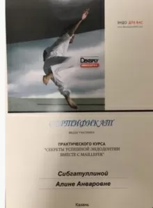 Сибгатуллина Алина Анваровна