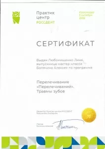 Любомищенко Лина Сергеевна