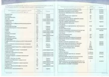 Калитина Полина Николаевна